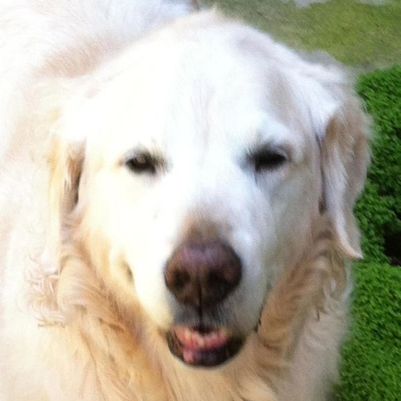 Meet your Posher, Janet - Picture 1 of 1